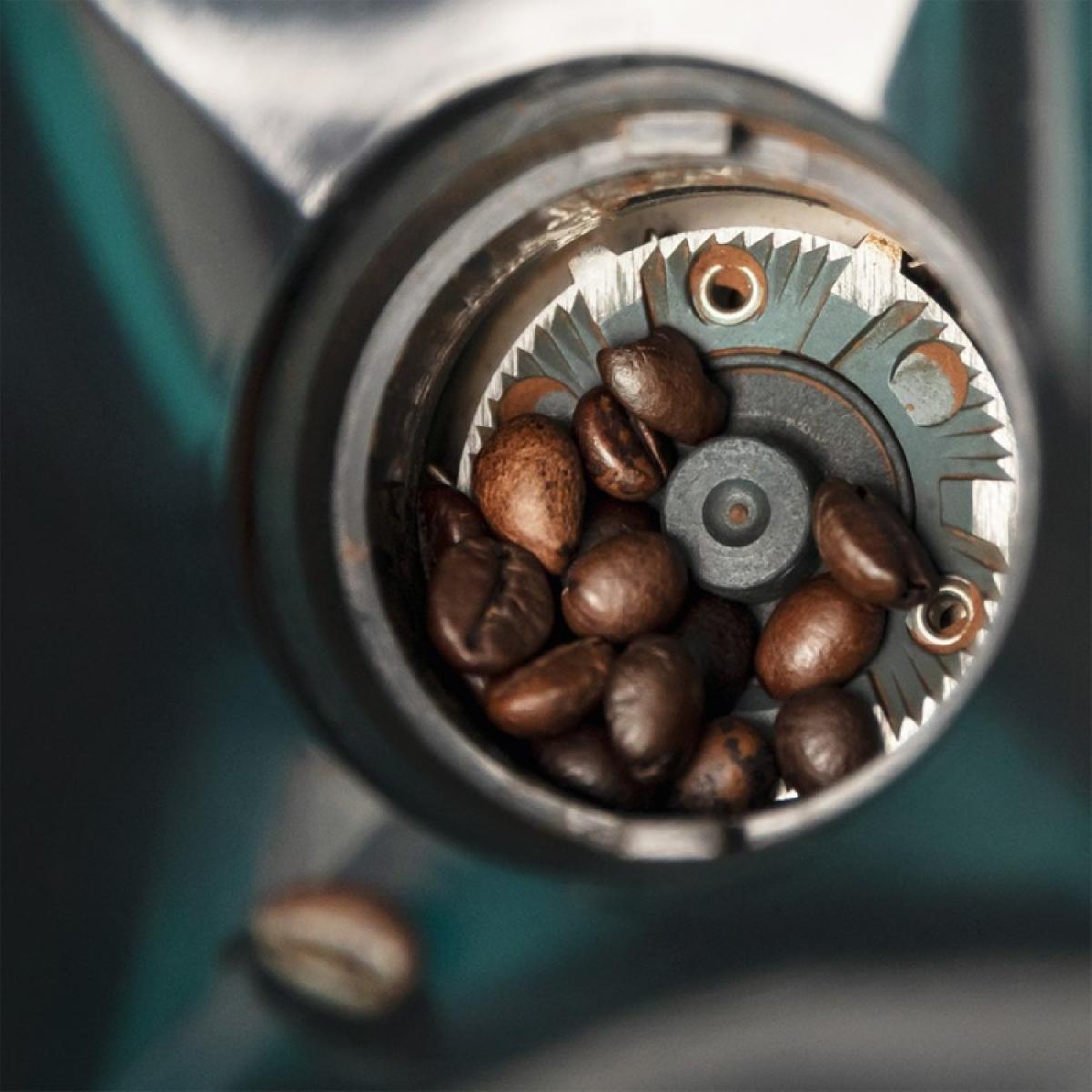 Cecotec Molinillos de café Molinillo Steelmill 2000 Adjust