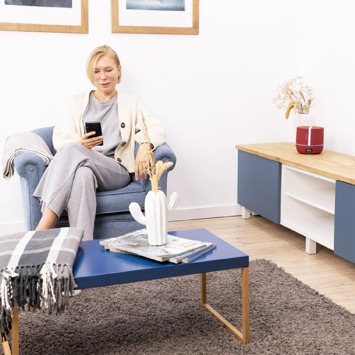 Cecotec Humidificadores Difusor de aroma PureAroma 550 Connected Garnet