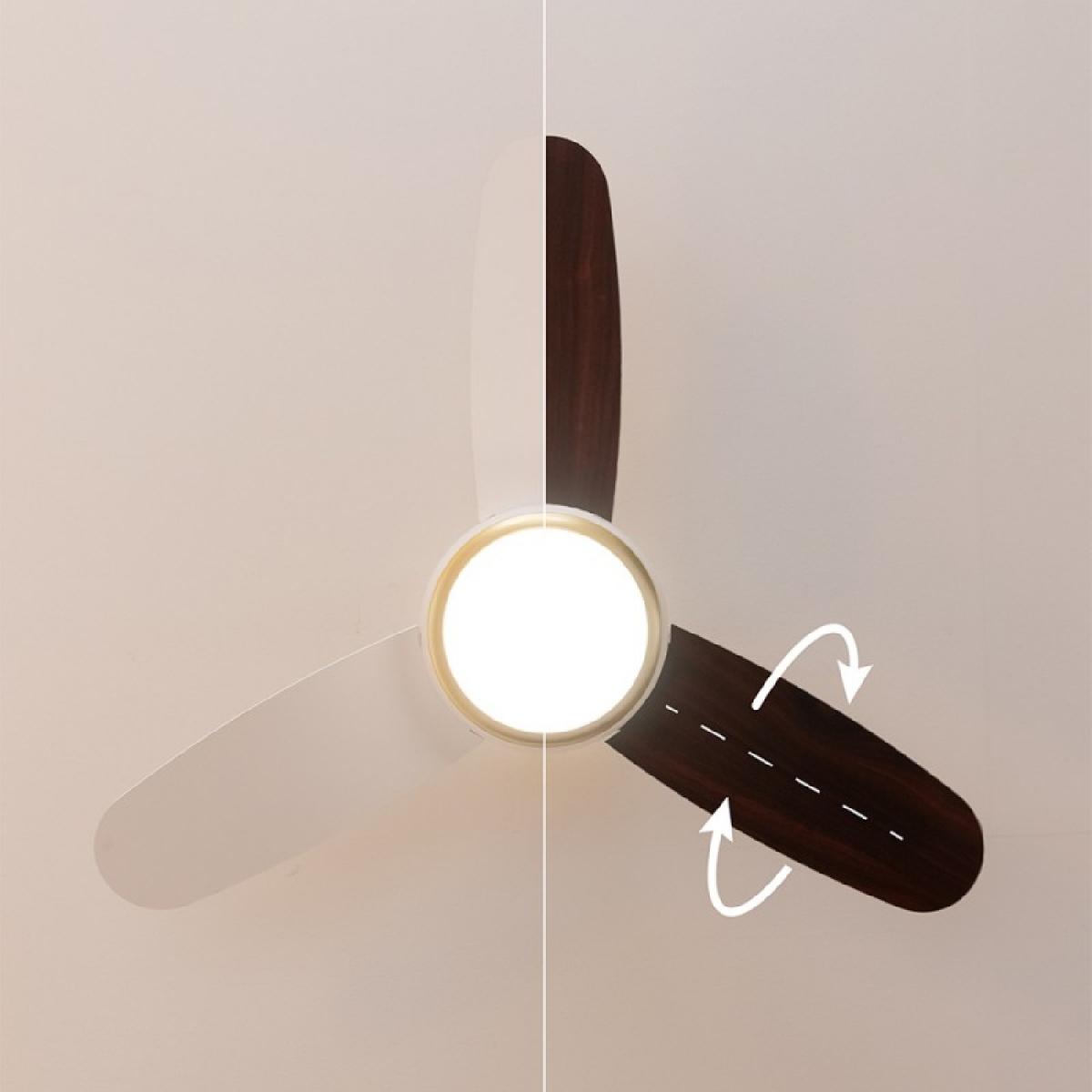 Cecotec Ventiladores de techo con luz EnergySilence Aero 4265 GoldWhite