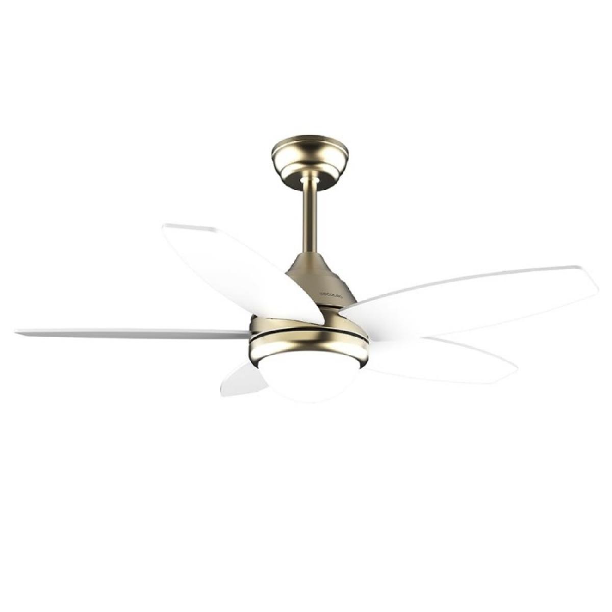 Cecotec Ventiladores de techo con luz EnergySilence Aero 4200 GoldLightWood