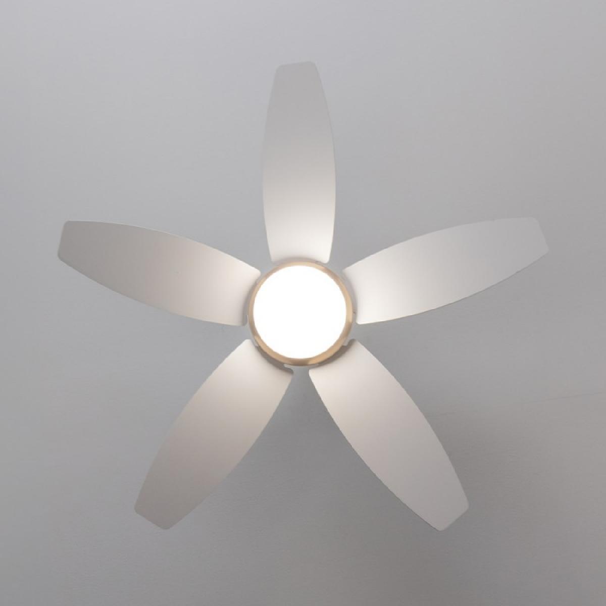 Cecotec Ventiladores de techo con luz EnergySilence Aero 4200 GoldLightWood