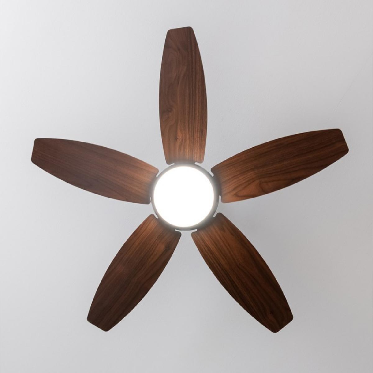 Cecotec Ventiladores de techo con luz EnergySilence Aero 4200 Black&DarkWood