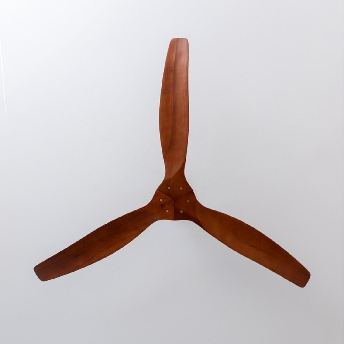Cecotec Ventiladores de techo sin luz EnergySilence Aero 5270 DarkWood