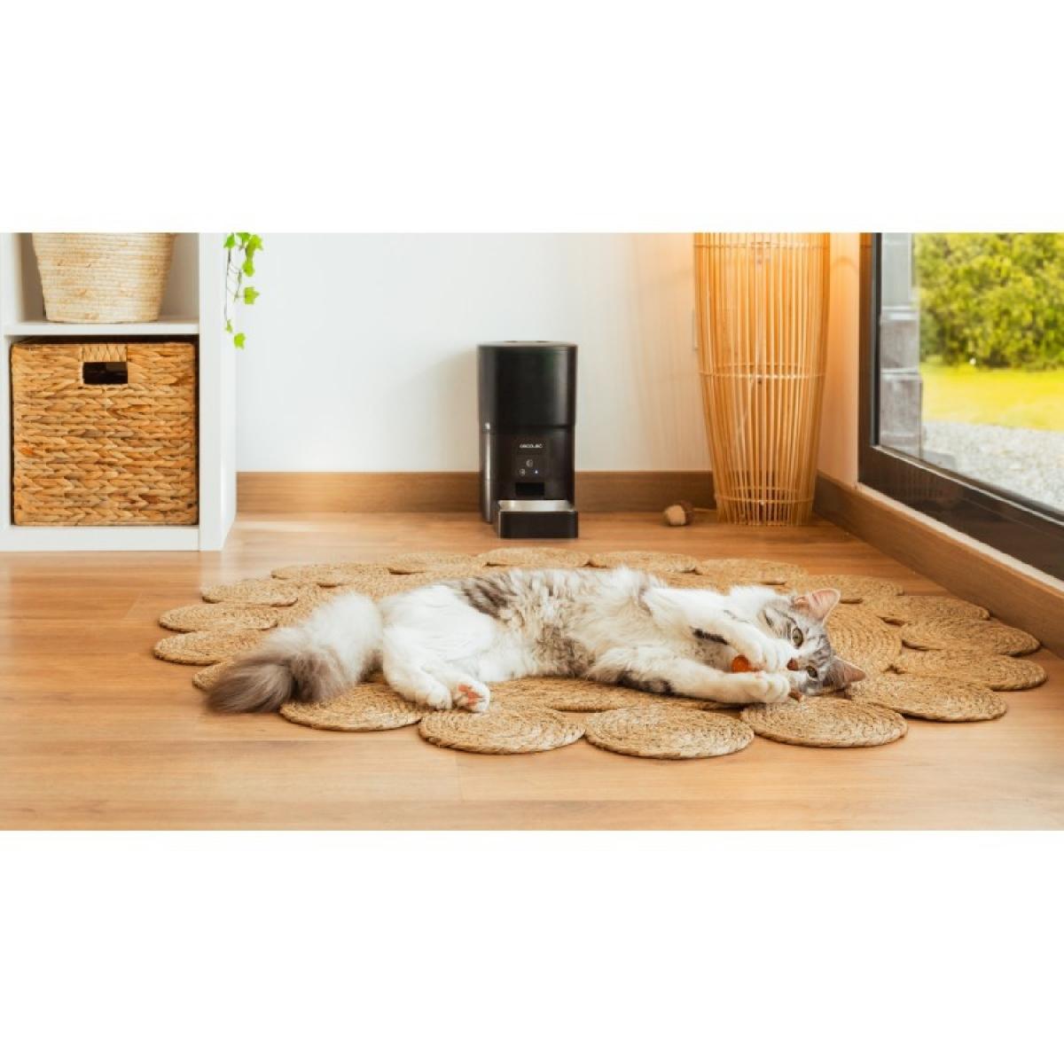Cecotec Comederos Comedero Pumba 6000 Purrfect Meal Smart