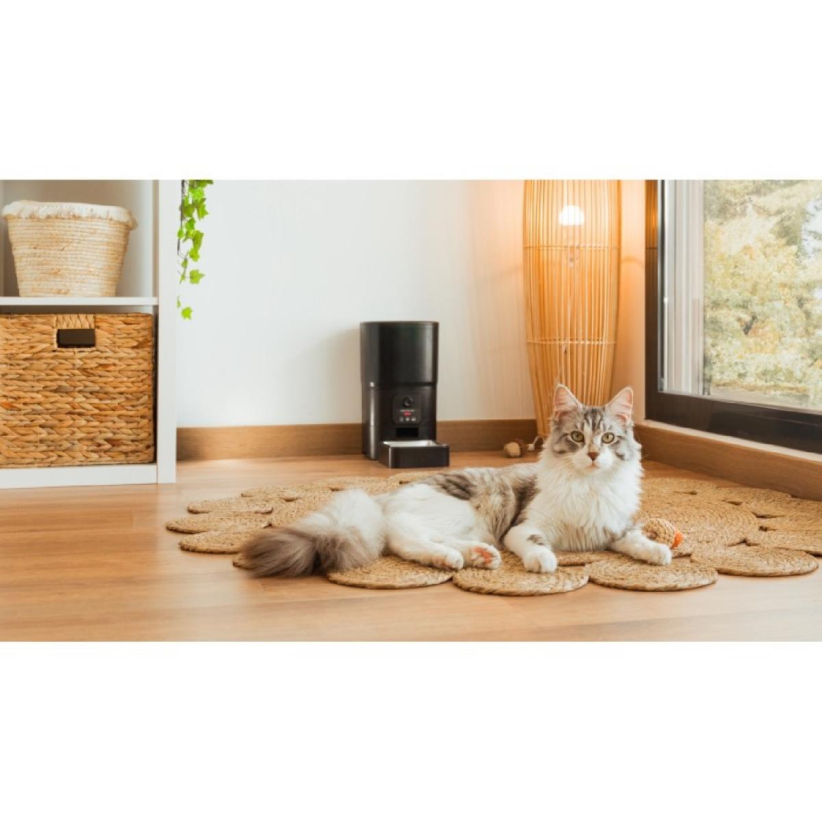 Cecotec Comederos Comedero Pumba 6000 Purrfect Meal Smart Vision