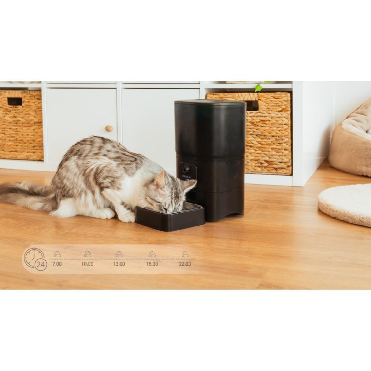 Cecotec Comederos Comedero Pumba 6000 Purrfect Meal Smart Vision