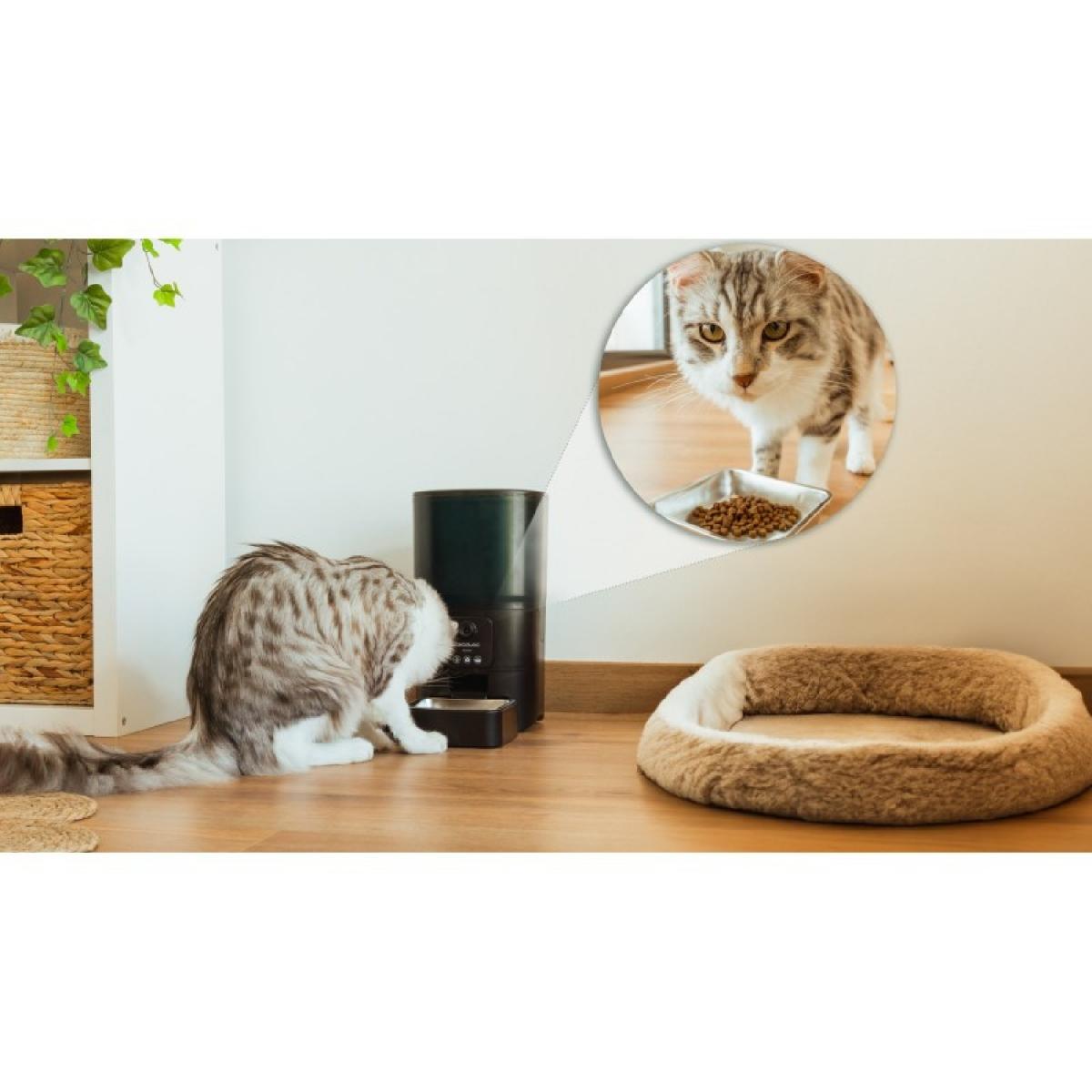 Cecotec Comederos Comedero Pumba 6000 Purrfect Meal Smart Vision