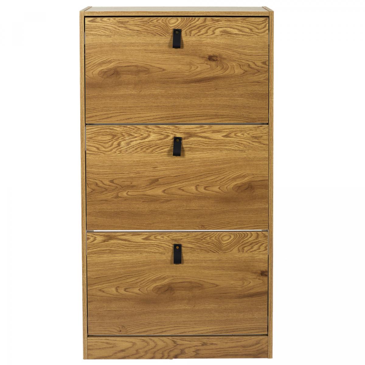 Mueble zapatero 3 puerta abbot