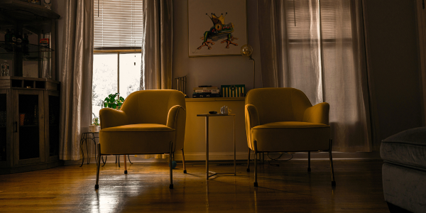 dos sillones colocados en un salón que se ve bien organizado y crea armonía visual
