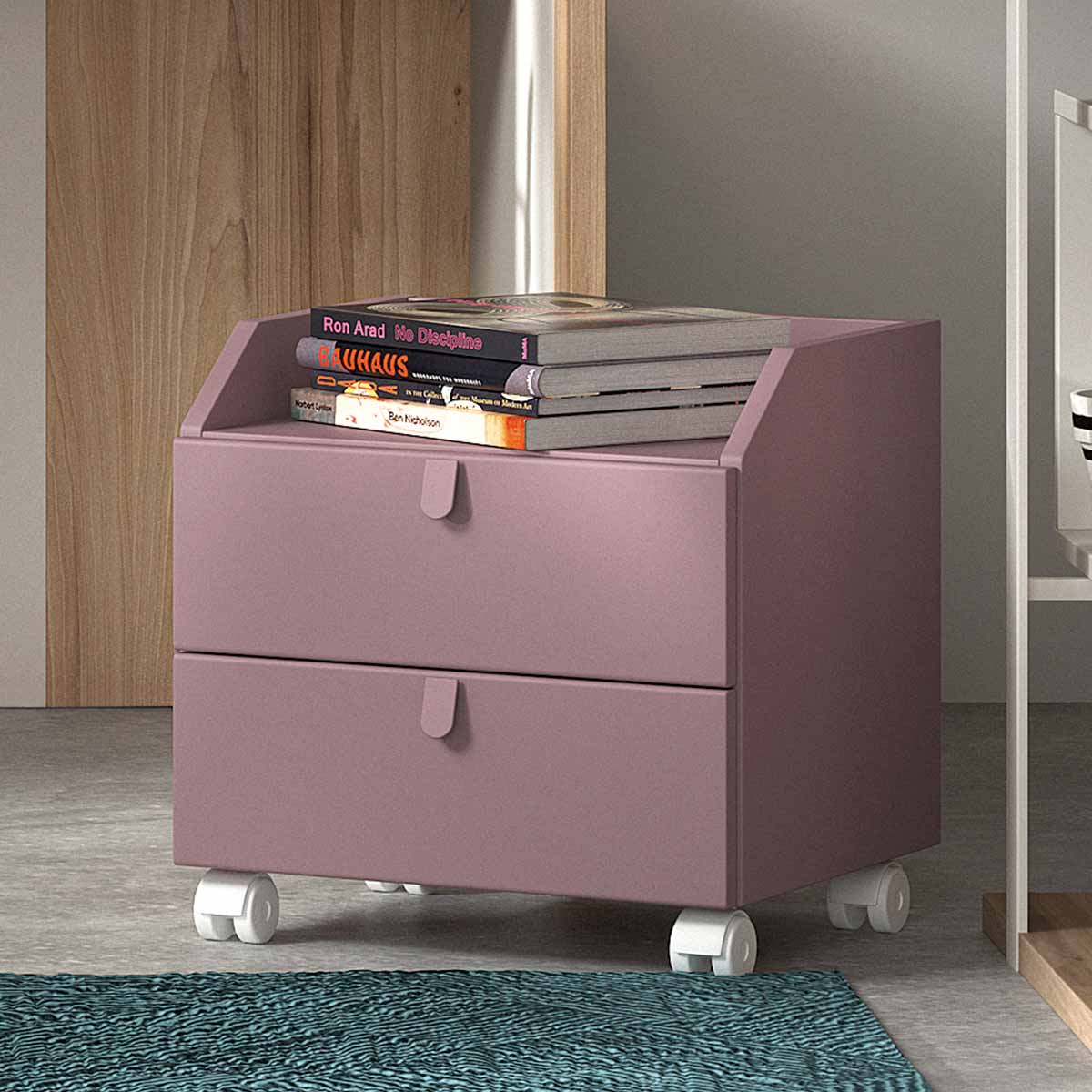 Litera juvenil DUSER 207