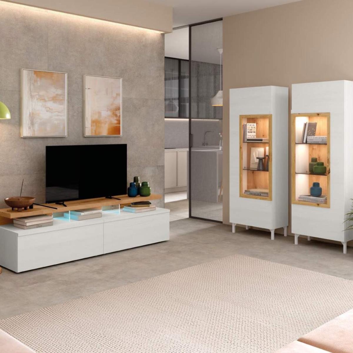 Mueble de salón ESTEIN 319