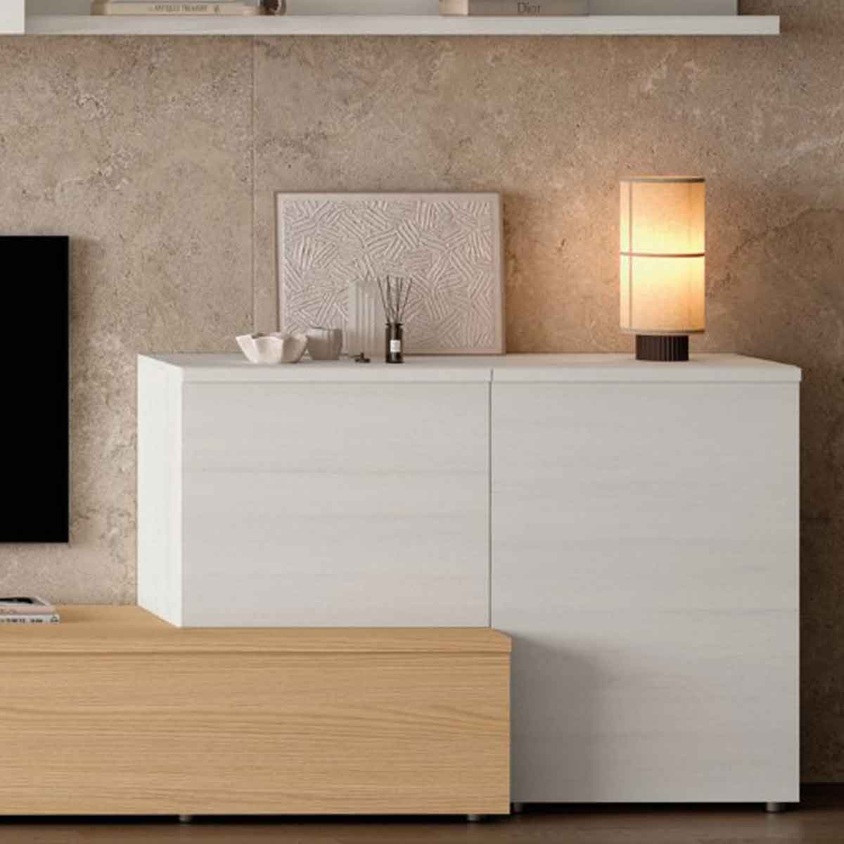Mueble de salón ESTEIN 301