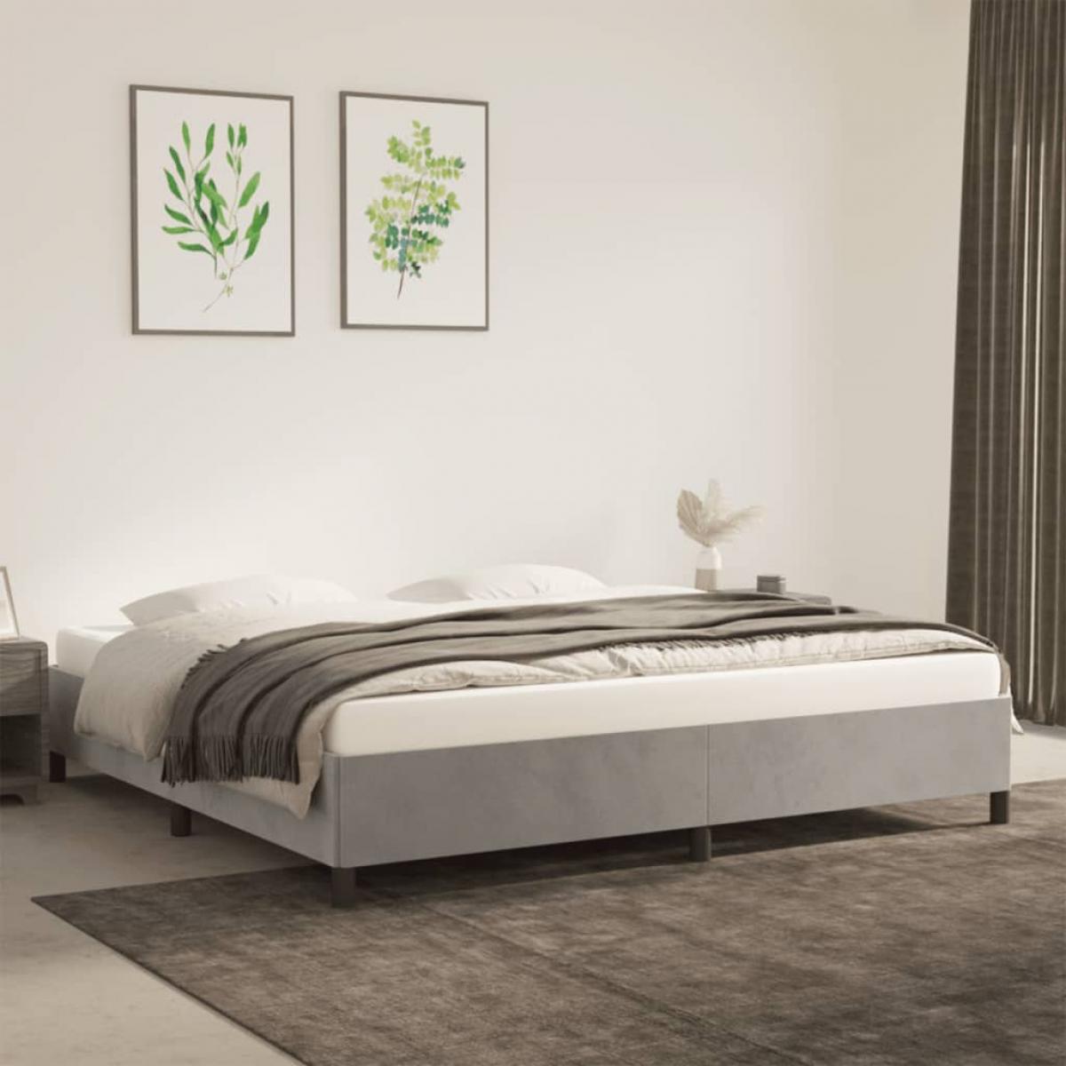 Estructura de cama sin colchón terciopelo gris claro 200x200 cm