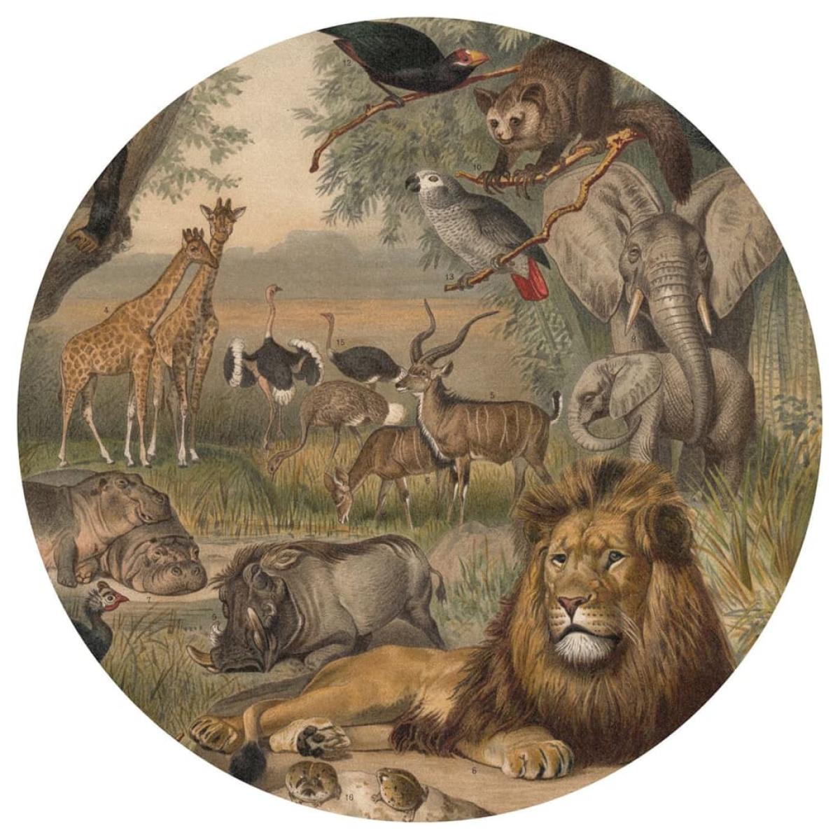 WallArt Papel pintado de pared redondo Animals of Africa 190 cm