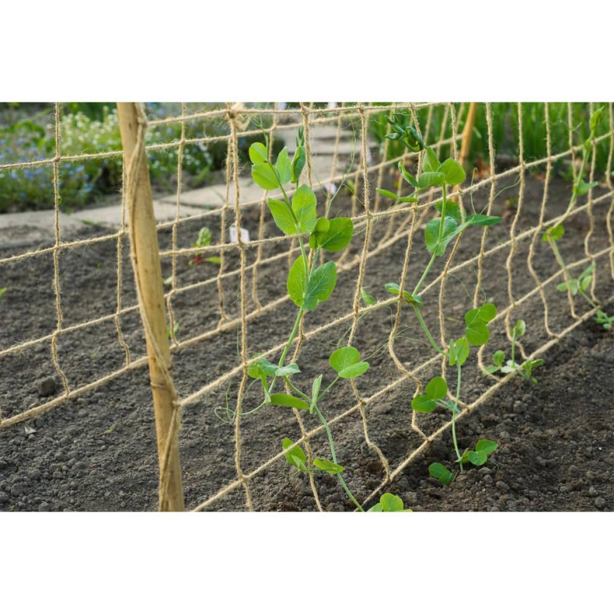 Nature Malla para plantas enredaderas yute natural 1,8x5 m
