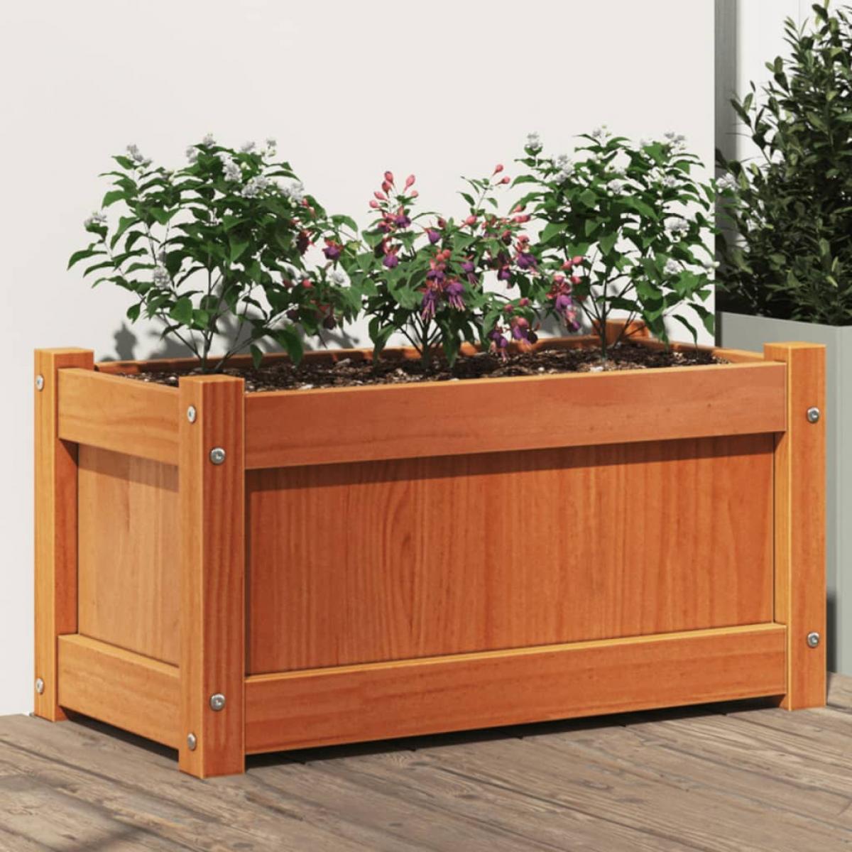 Jardinera exterior madera maciza pino marrón cera 60x31x31 cm