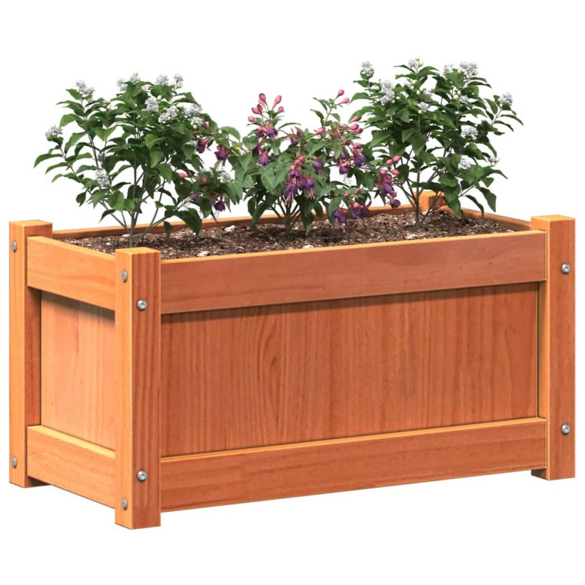 Jardinera exterior madera maciza pino marrón cera 60x31x31 cm