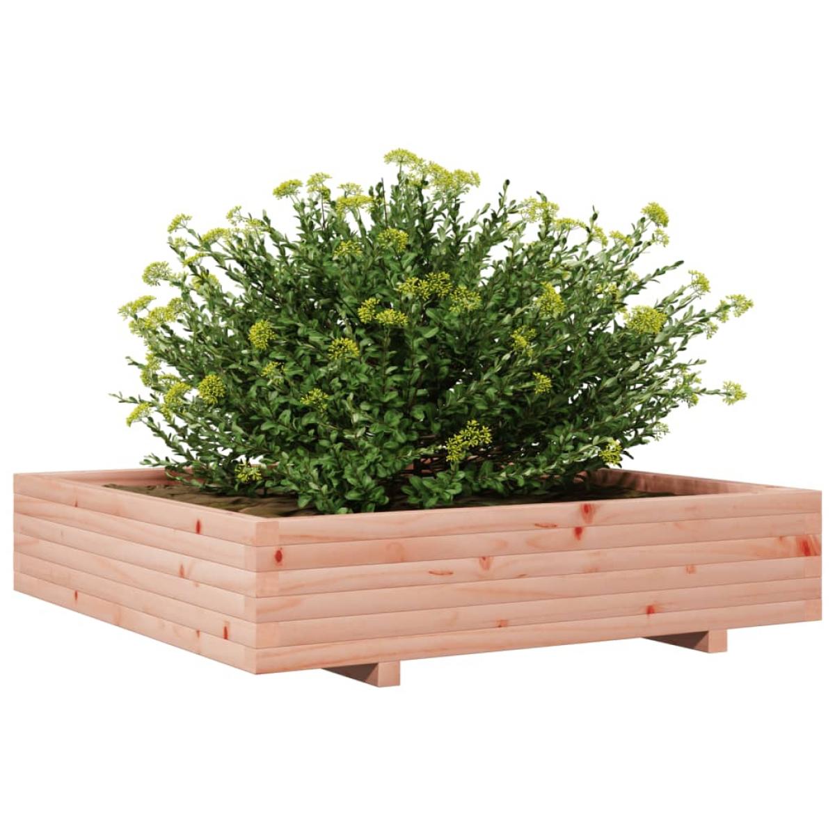 Jardinera de madera maciza Douglas 110x110x26,5 cm