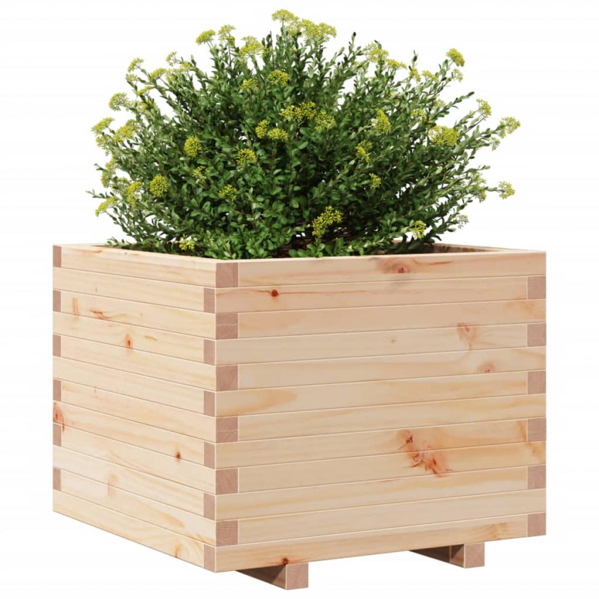 Jardinera madera maciza de pino 60x60x49,5 cm