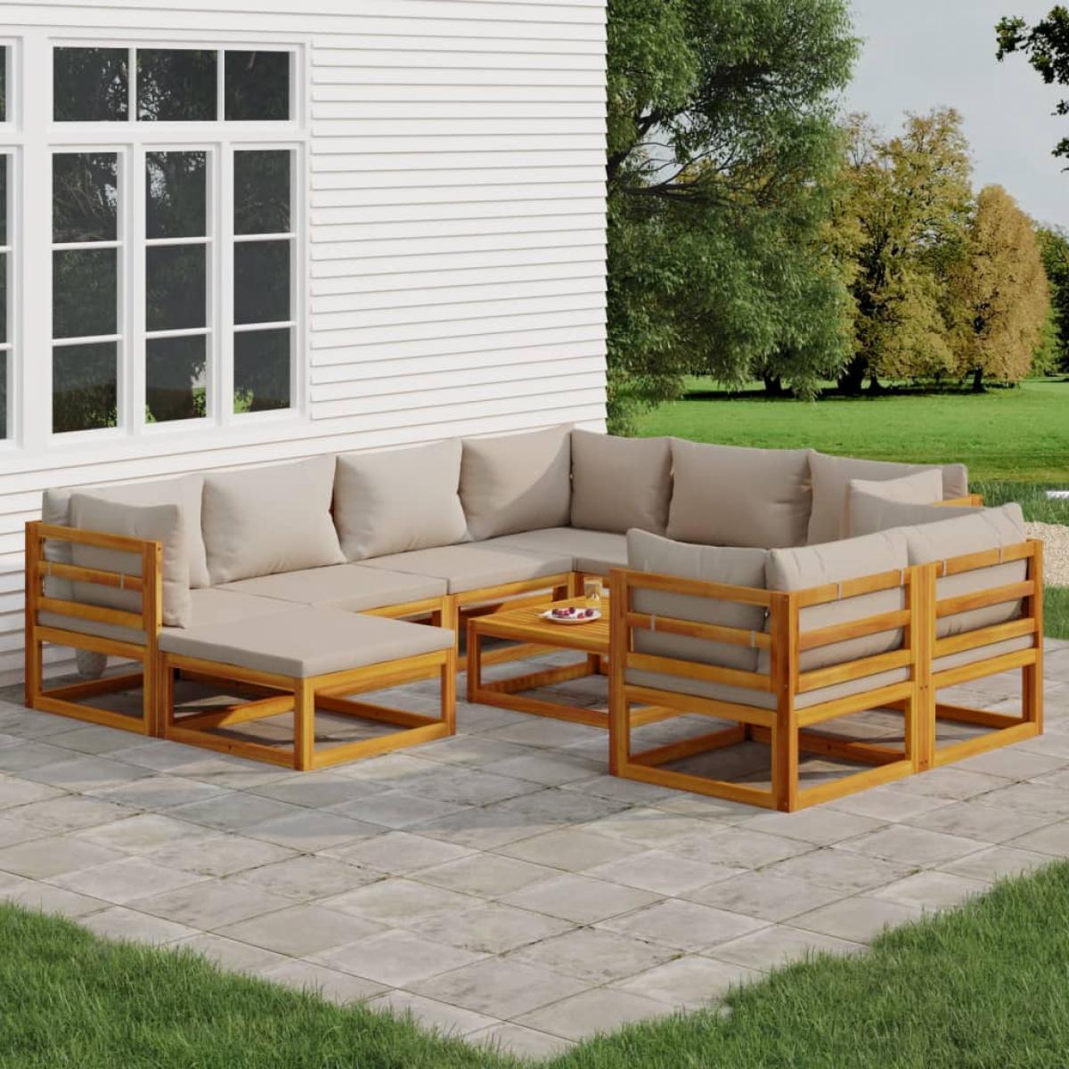 Set muebles jardín 10 pzas madera maciza y cojines gris claro
