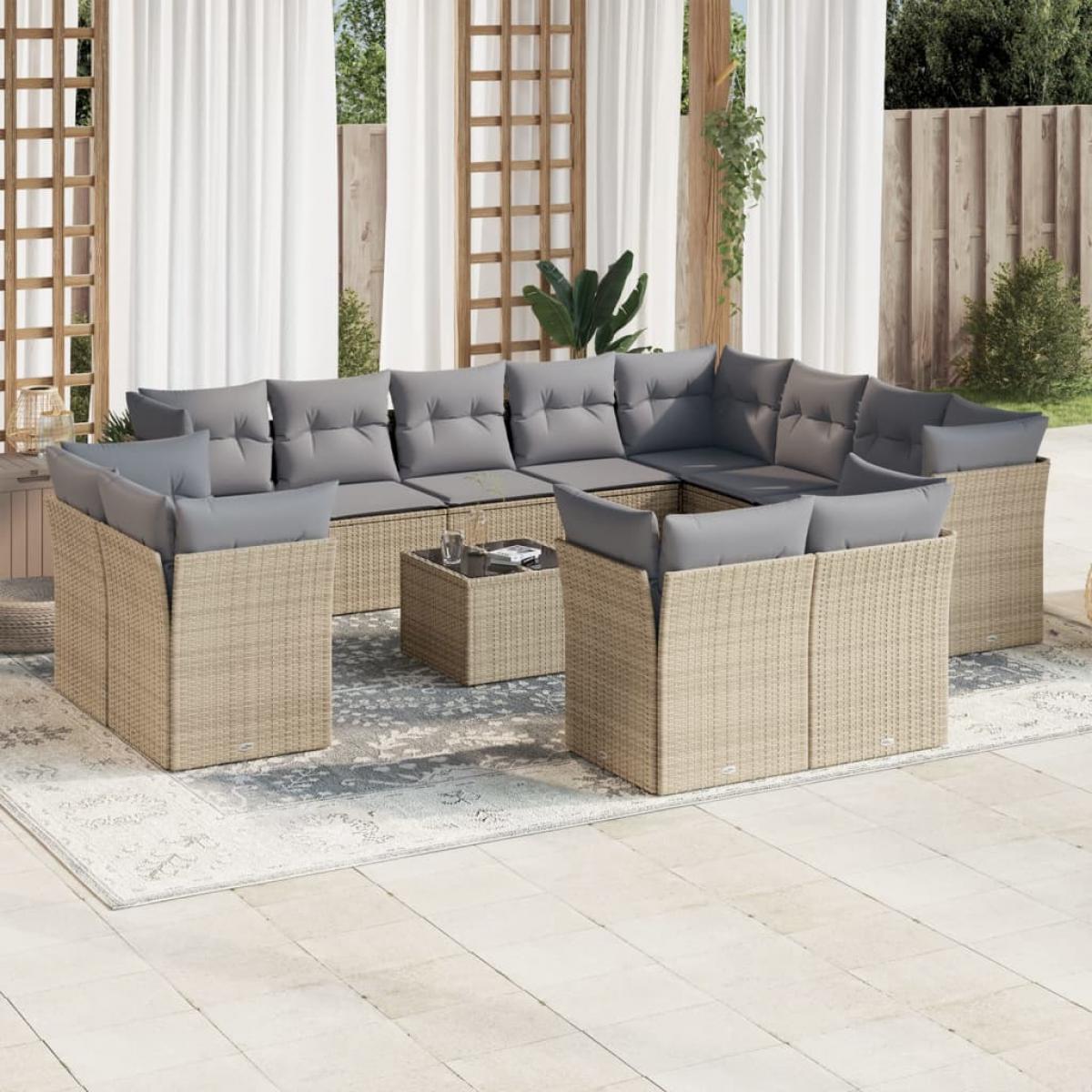 Set sofás de jardín con cojines 13 pzas ratán sintético beige