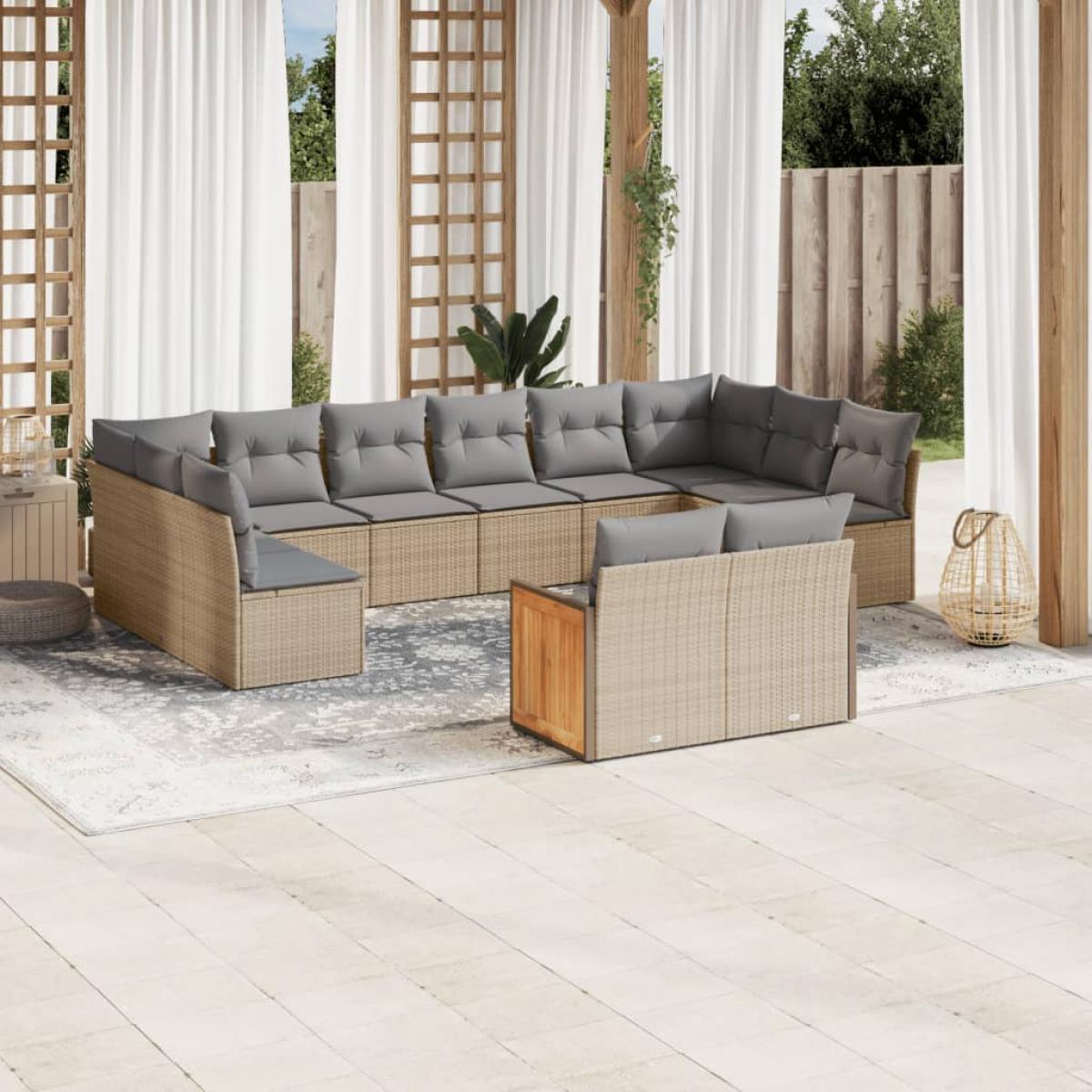 Set de sofás de jardín y cojines 12 pzas ratán sintético beige