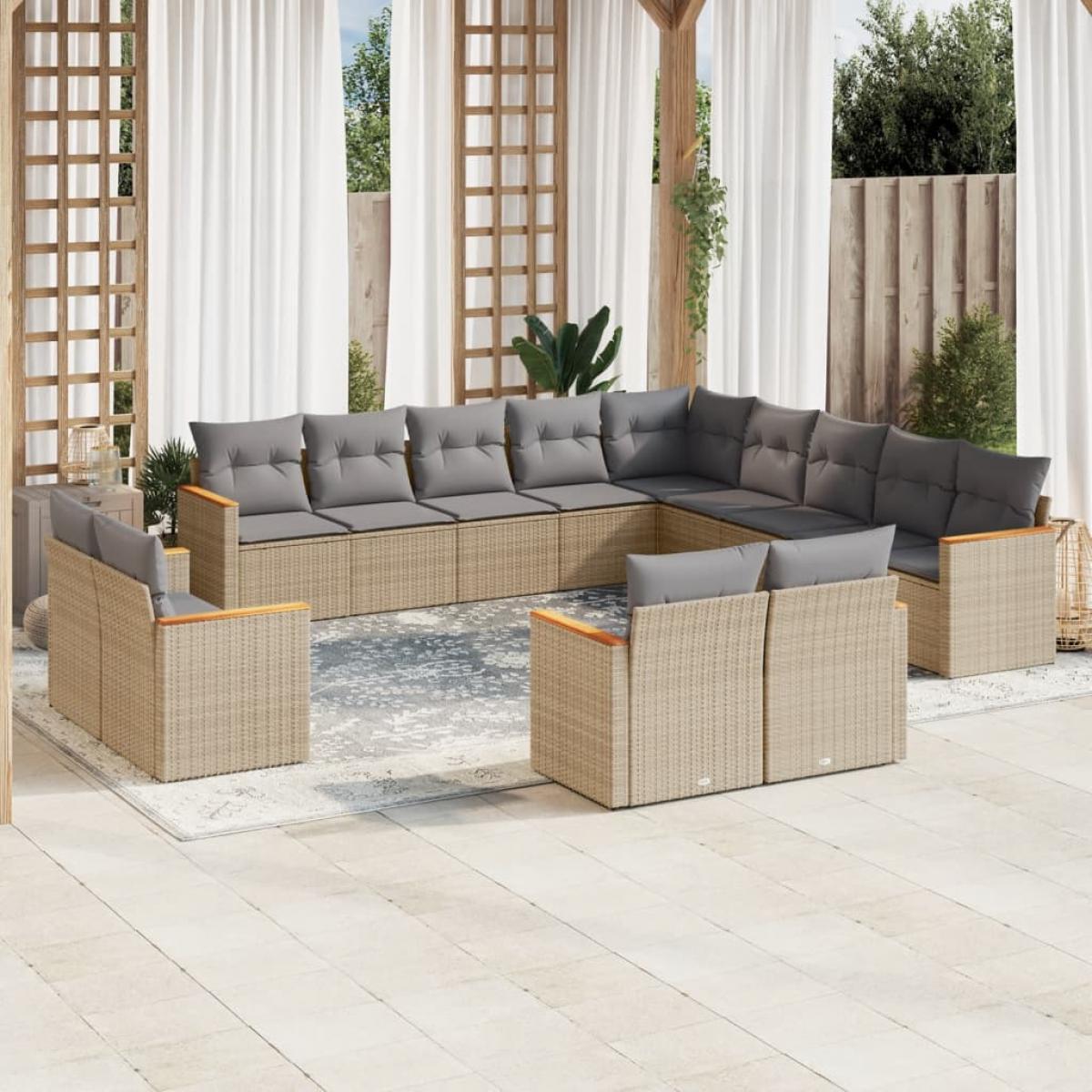 Set sofás de jardín con cojines 13 pzas ratán sintético beige
