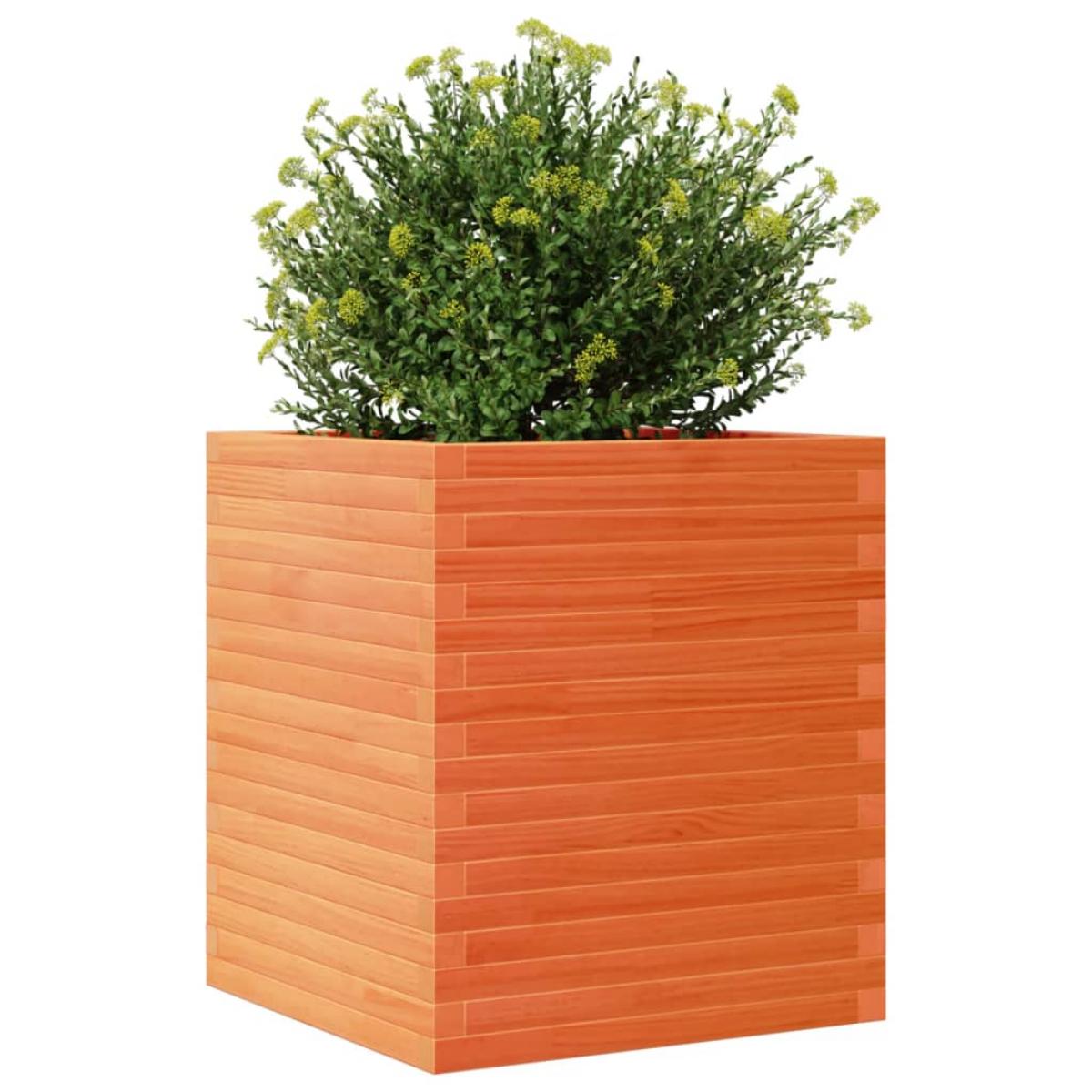 Jardinera de madera maciza de pino marrón cera 60x60x68,5 cm