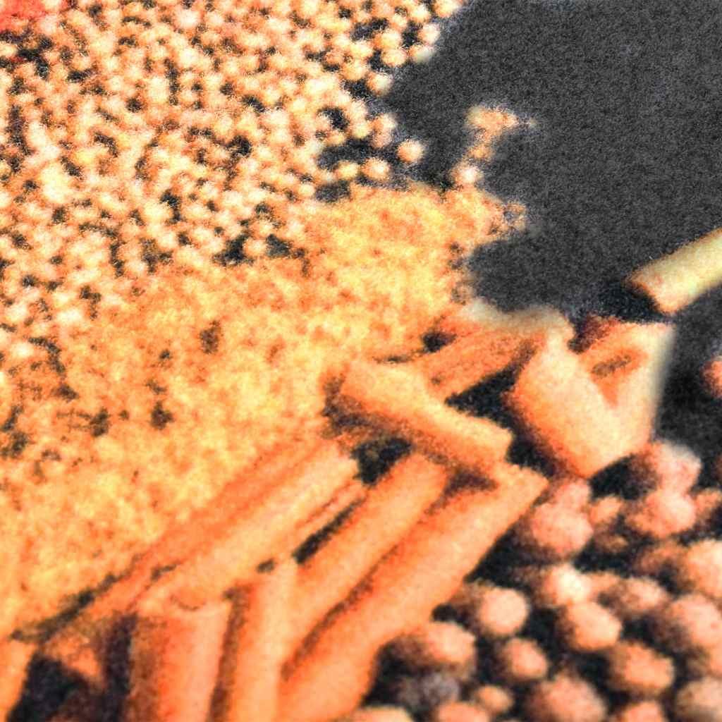 Alfombra de cocina lavable Spice