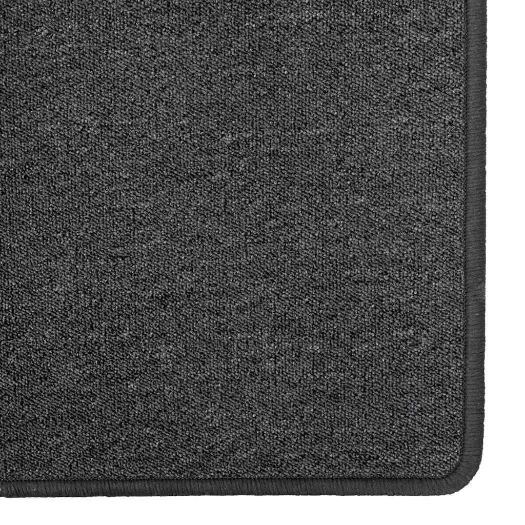 Runner de Alfombra 100% Polipropileno