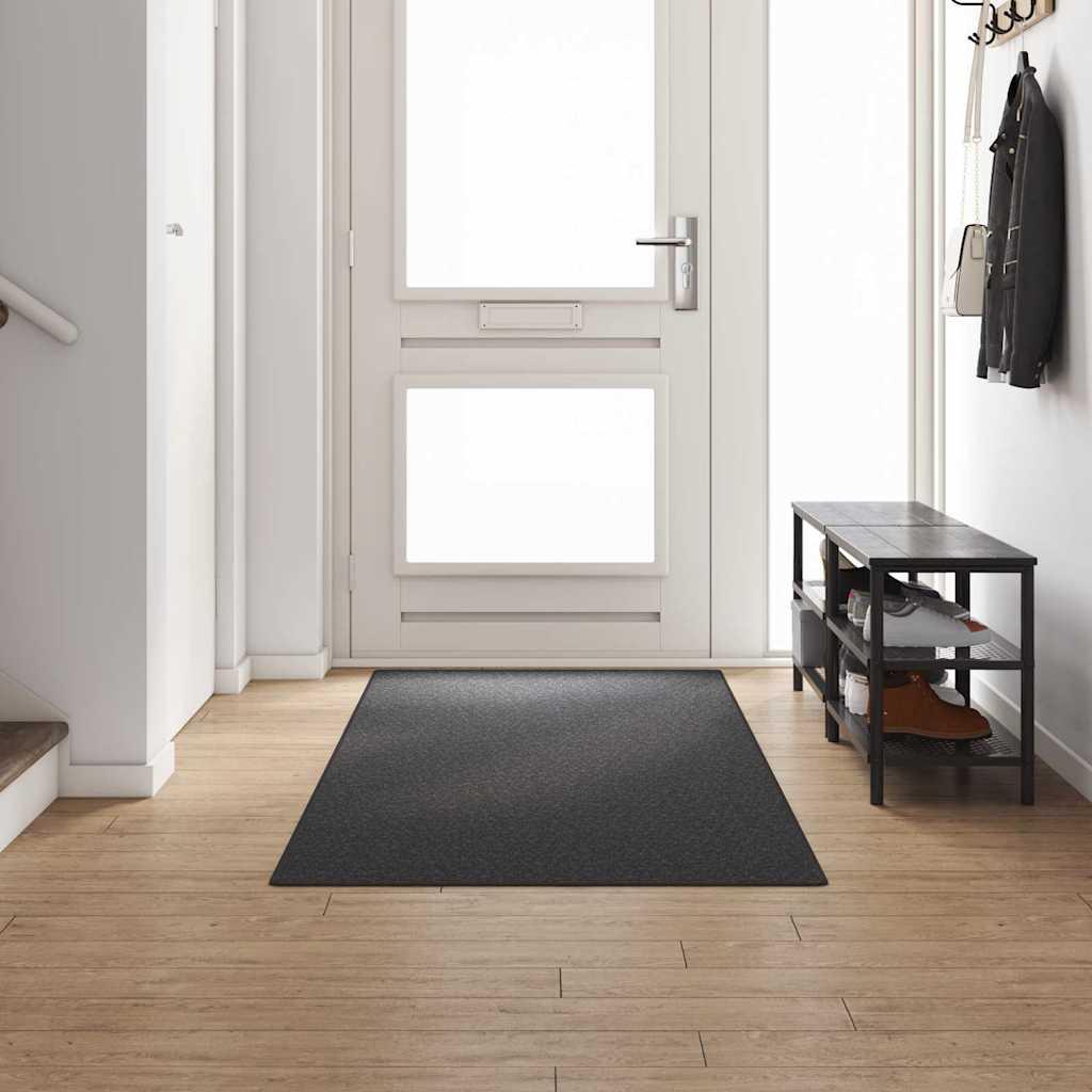Runner de Alfombra 100% Polipropileno