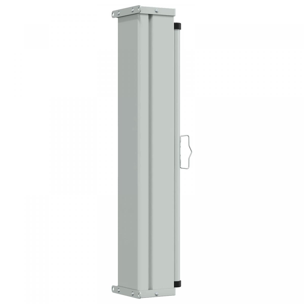 Toldo lateral 100 x 300 cm 100% poliéster hierro acero