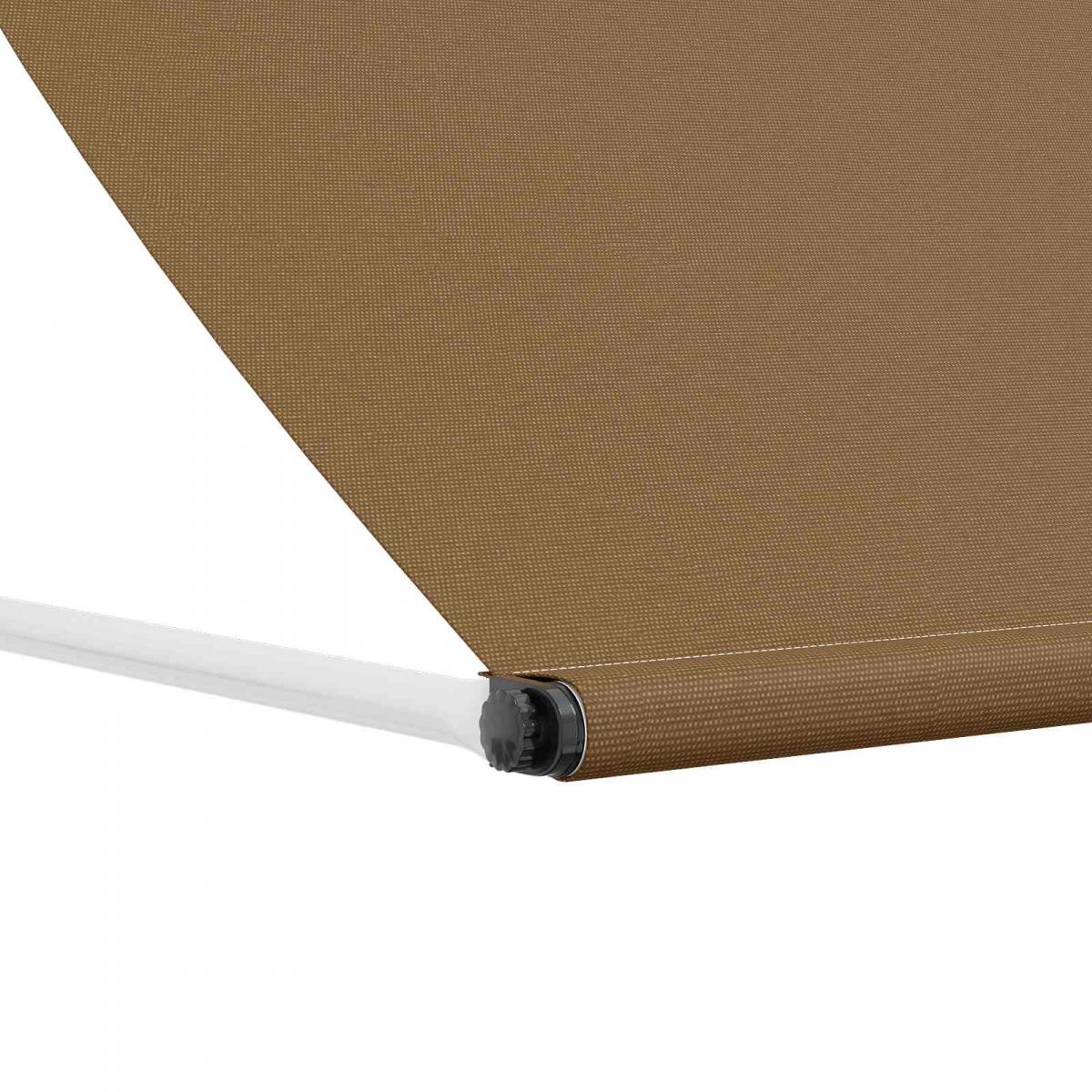 Toldo