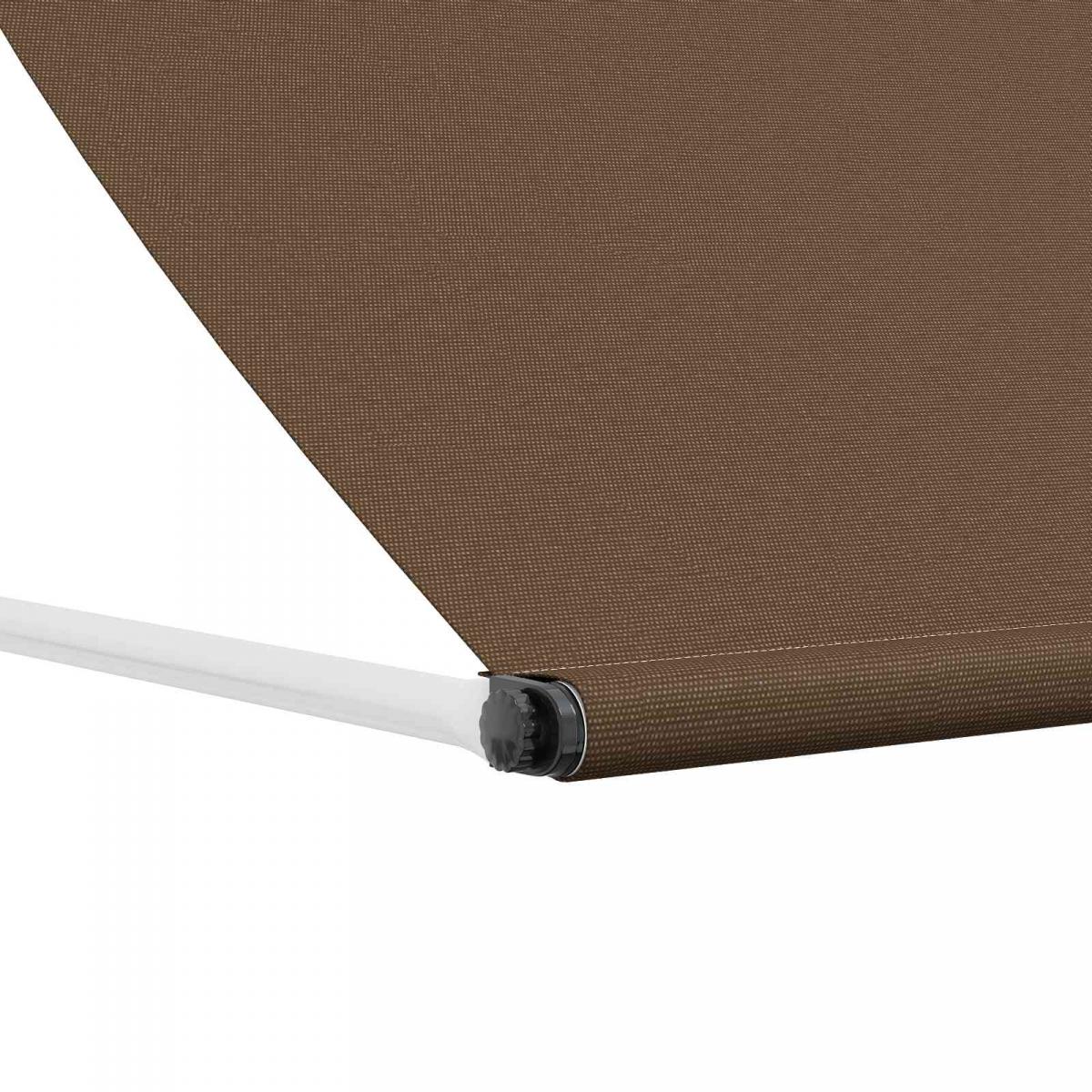 Toldo