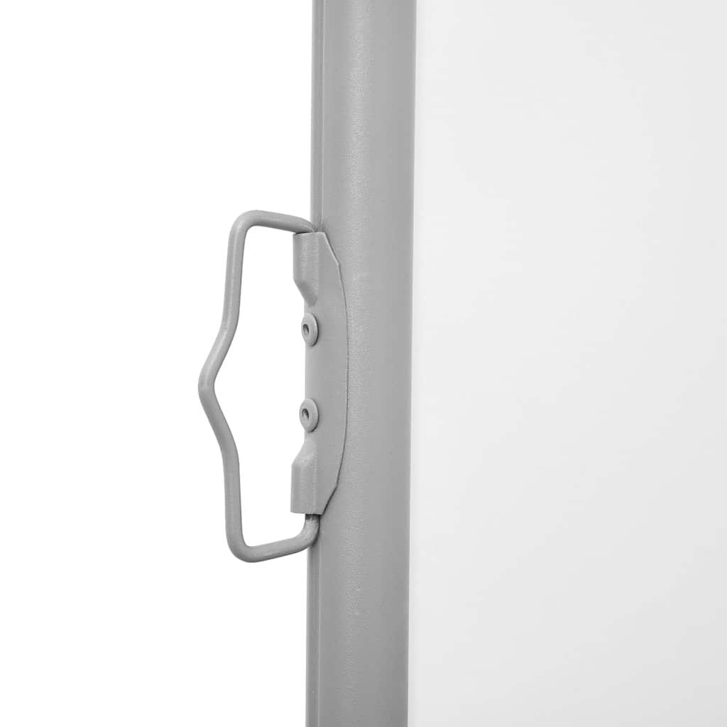 Toldo lateral retráctil gris antracita 160x600 cm