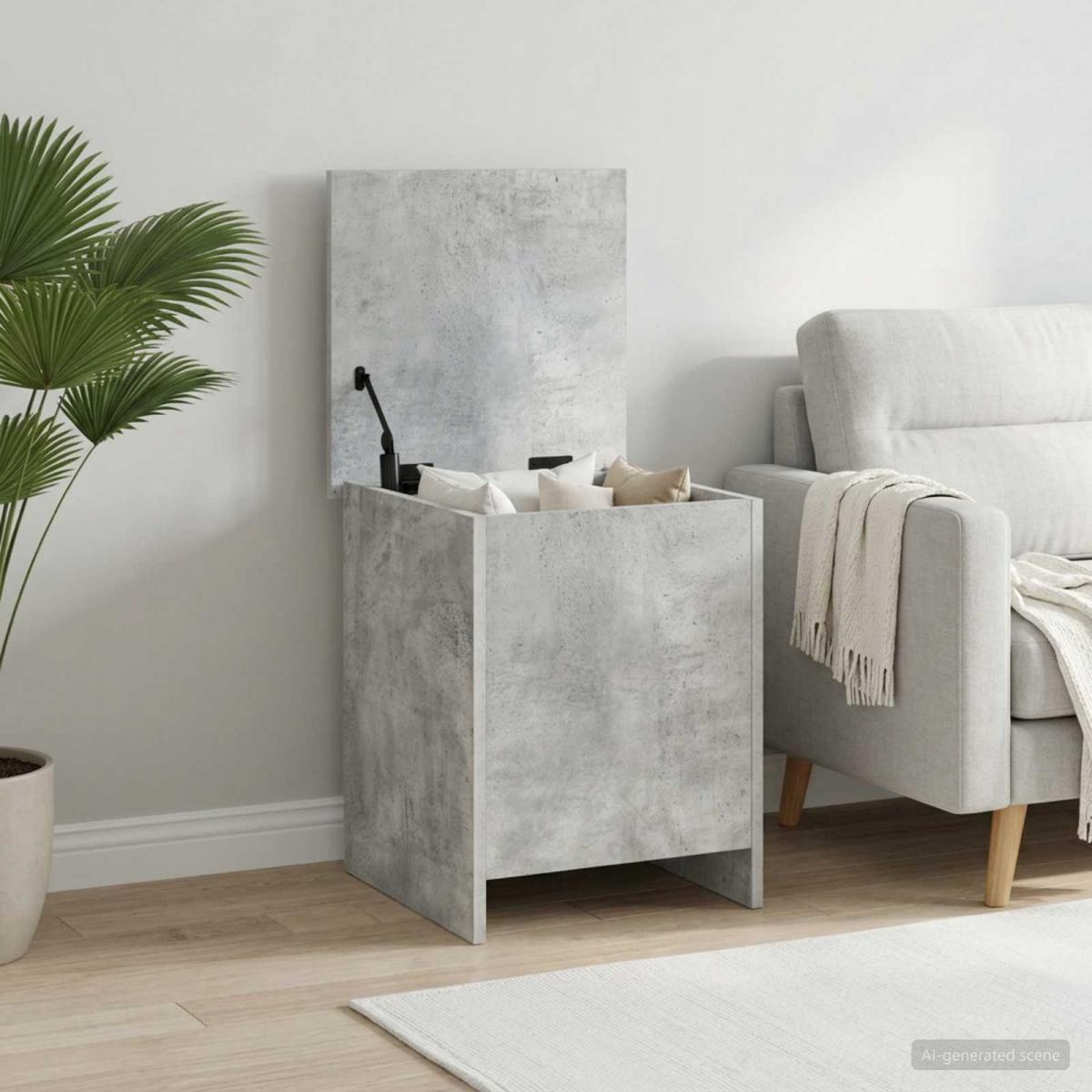 Baúl de almacenamiento Gris Hormigón