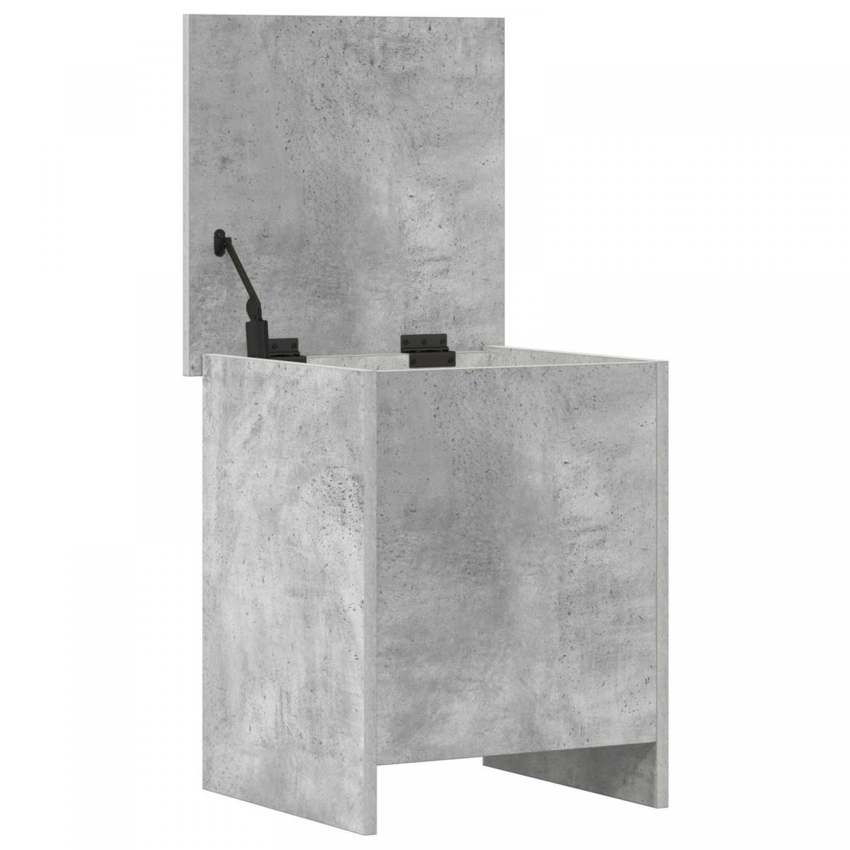 Baúl de almacenamiento Gris Hormigón