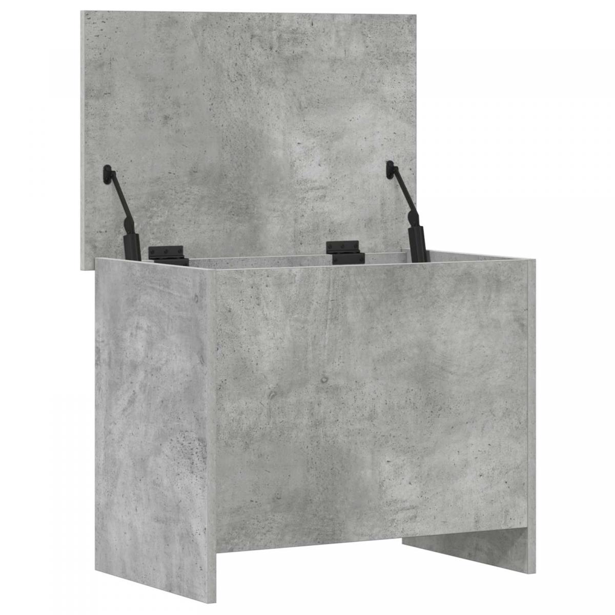 Baúl de almacenamiento Gris Hormigón