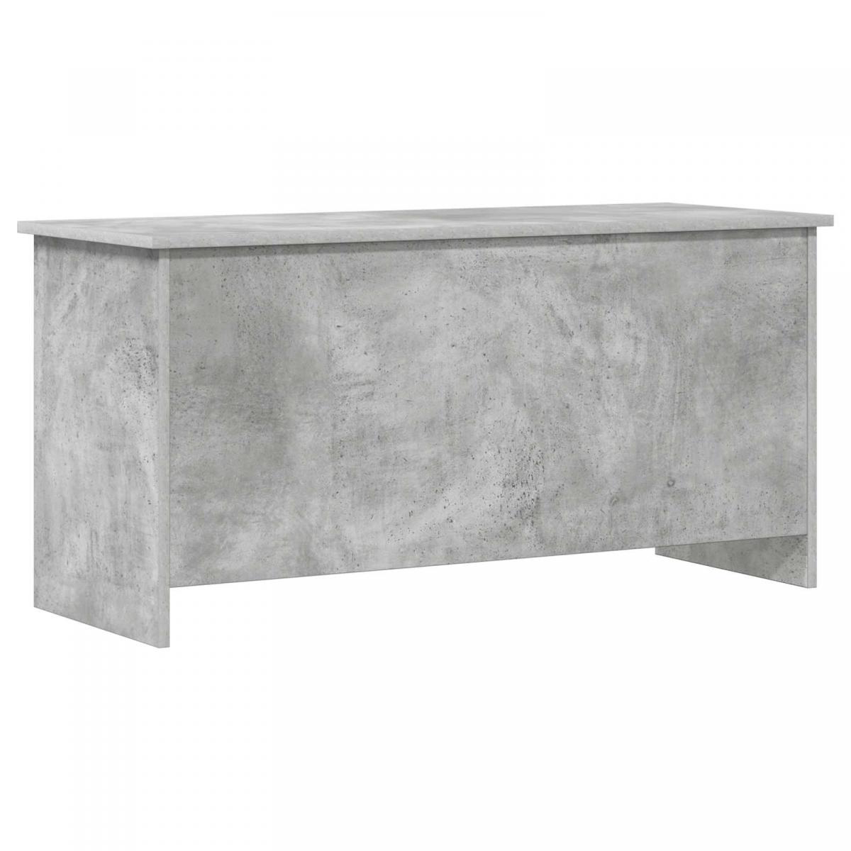 Baúl de almacenamiento Gris Hormigón