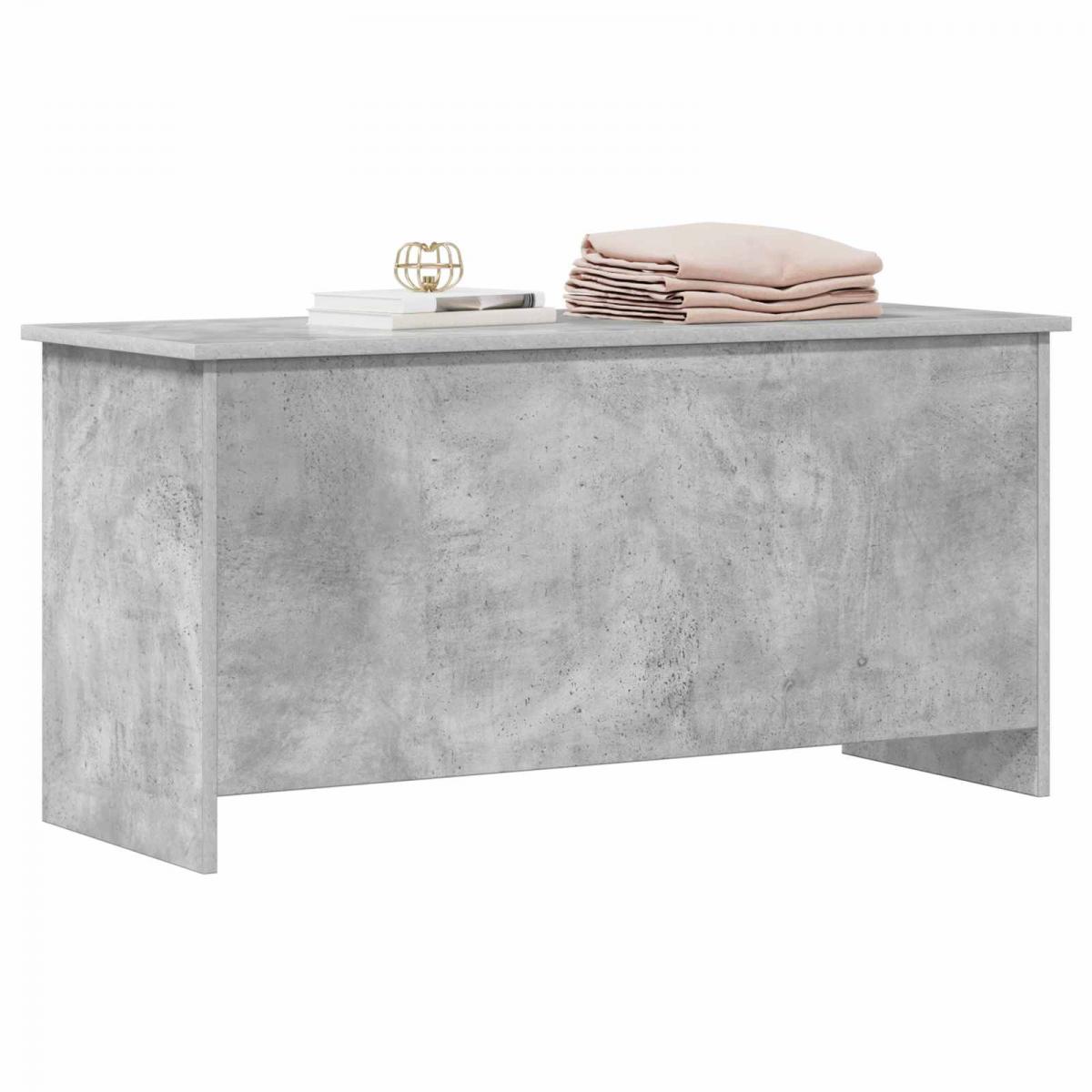 Baúl de almacenamiento Gris Hormigón