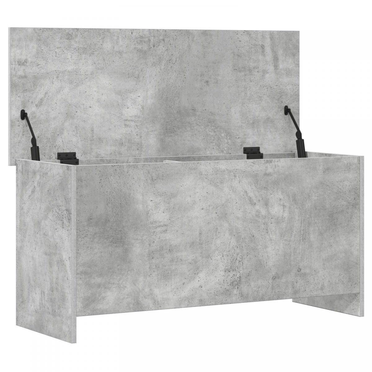 Baúl de almacenamiento Gris Hormigón