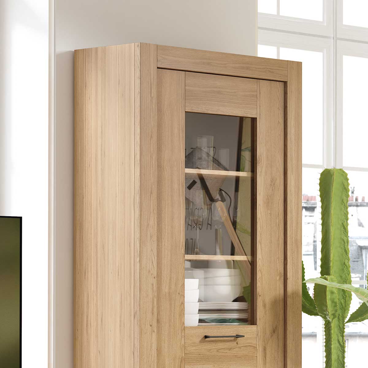 Vitrina puerta de cristal STAN