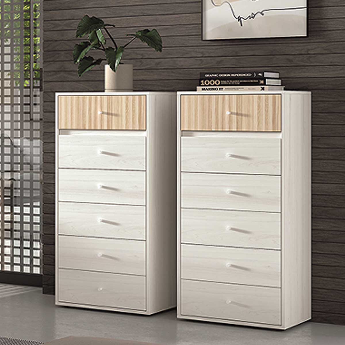 Sinfonier 6 cajones MENDOL 24