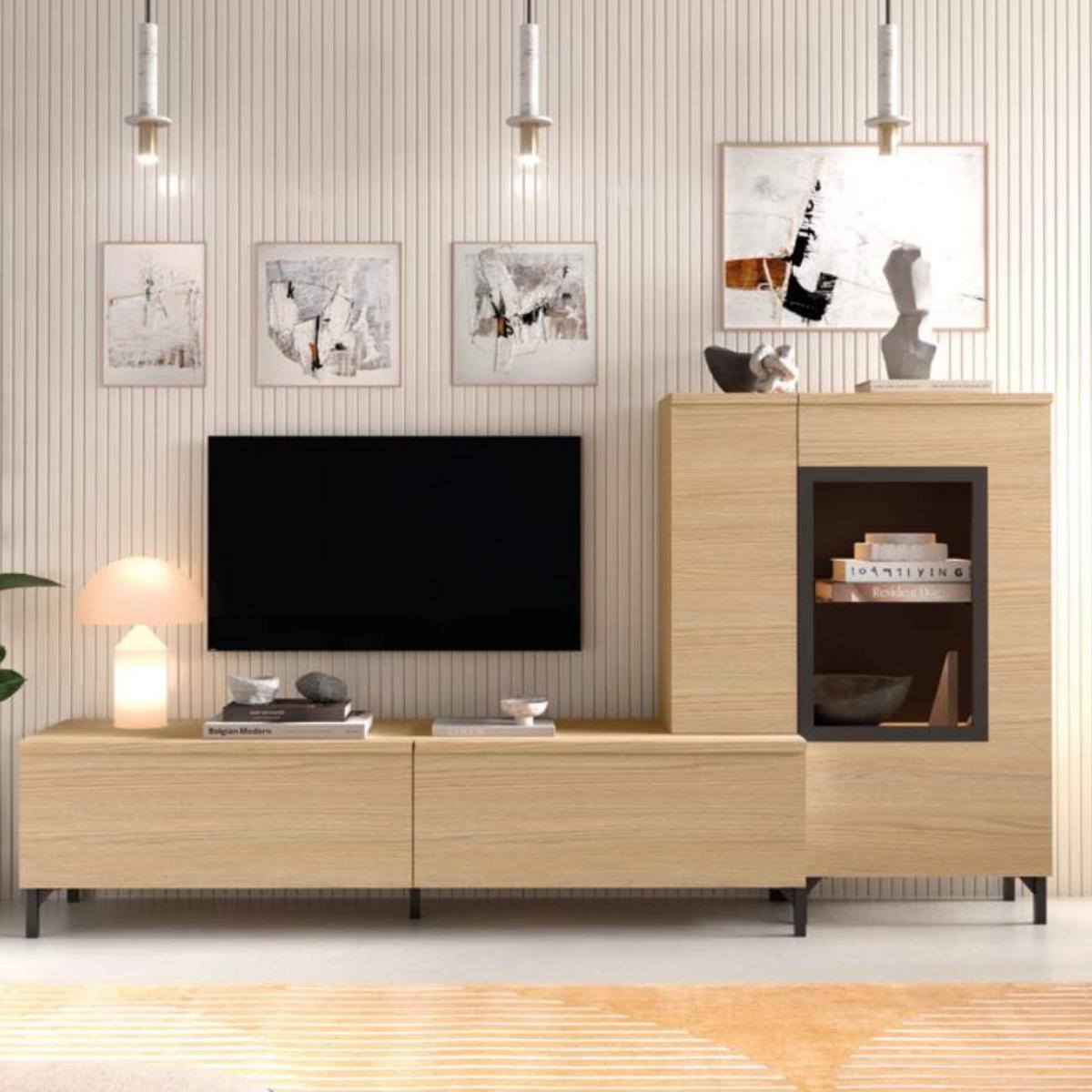 Mueble de salón ESTEIN 314